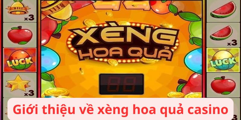 Xèng Hoa Quả: Tìm Hiểu Các Tính Năng Đặc Biệt 5 xeng hoa qua 3